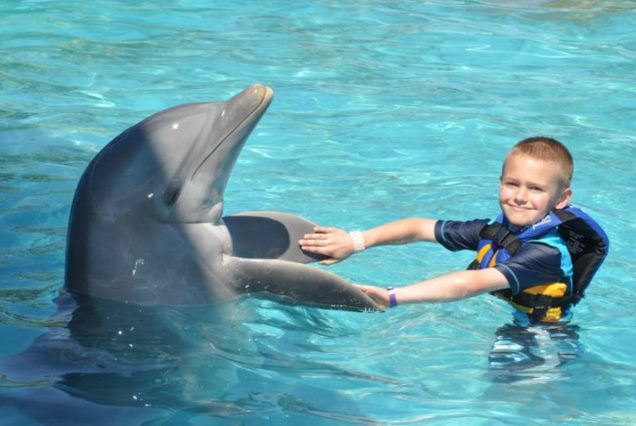 Dolphin Discovery Encounter - Punta Cana